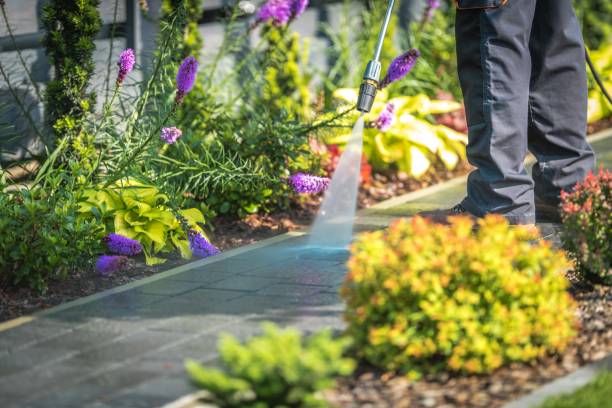 Reliable Gloucester Courthouse, VA Pressure Washing Services Solutions